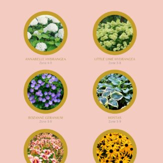 Plant Guide